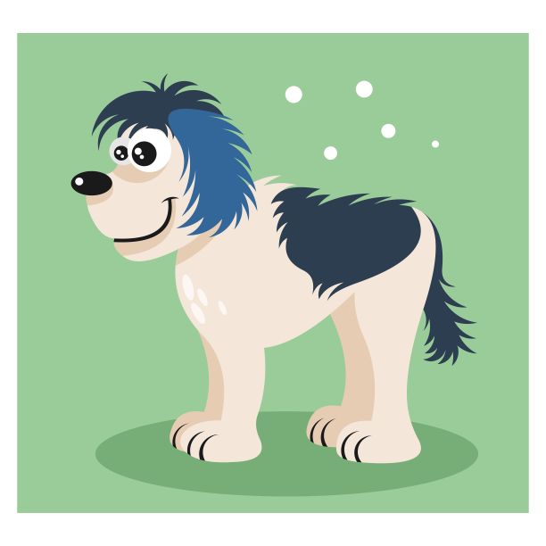 超市宠物狗丢失通知