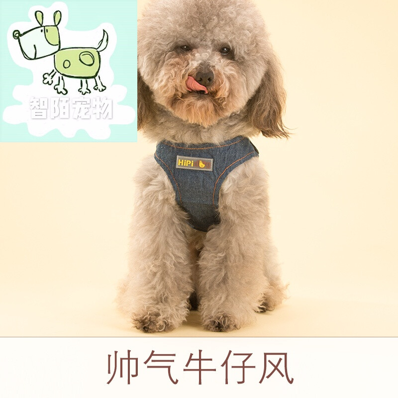 福瑞宠物狗饲养：陪伴与知识的完美融合